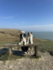 Dover