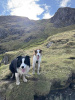 Eryri National Park