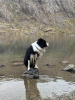 Eryri National Park
