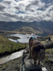 Eryri National Park