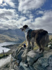 Eryri National Park