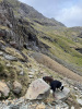 Eryri National Park