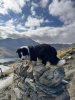 Eryri National Park