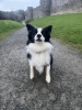 Conwy