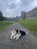 Conwy