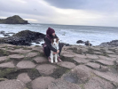 Giant's Causeway