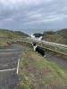 Carrick-a-Rede