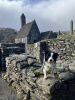 Glendalough