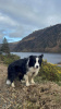 Glendalough