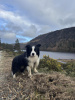 Glendalough