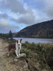 Glendalough