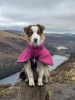 Glendalough