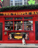 Dublin