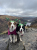 Glendalough