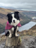 Glendalough