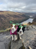 Glendalough