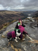 Glendalough