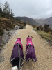 Glendalough