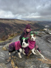 Glendalough