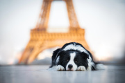 Paris 2026