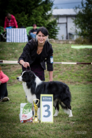 GCh. Ch. JCh. American Dexter Morgan of Real Shepherds - Ex3, champion class